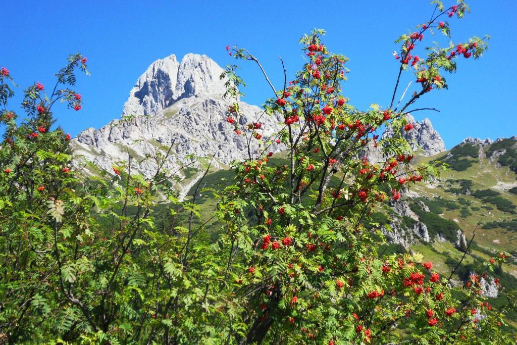 Ferienhaus Abendstille Ramsau am Dachstein Værelse billede