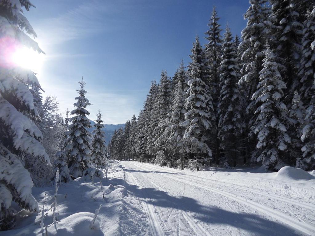 Ferienhaus Abendstille Ramsau am Dachstein Eksteriør billede